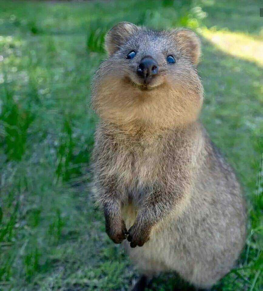 Thái Tử Phi Nhà Ta Thật Hung Hăng Chapter 16 trang 160