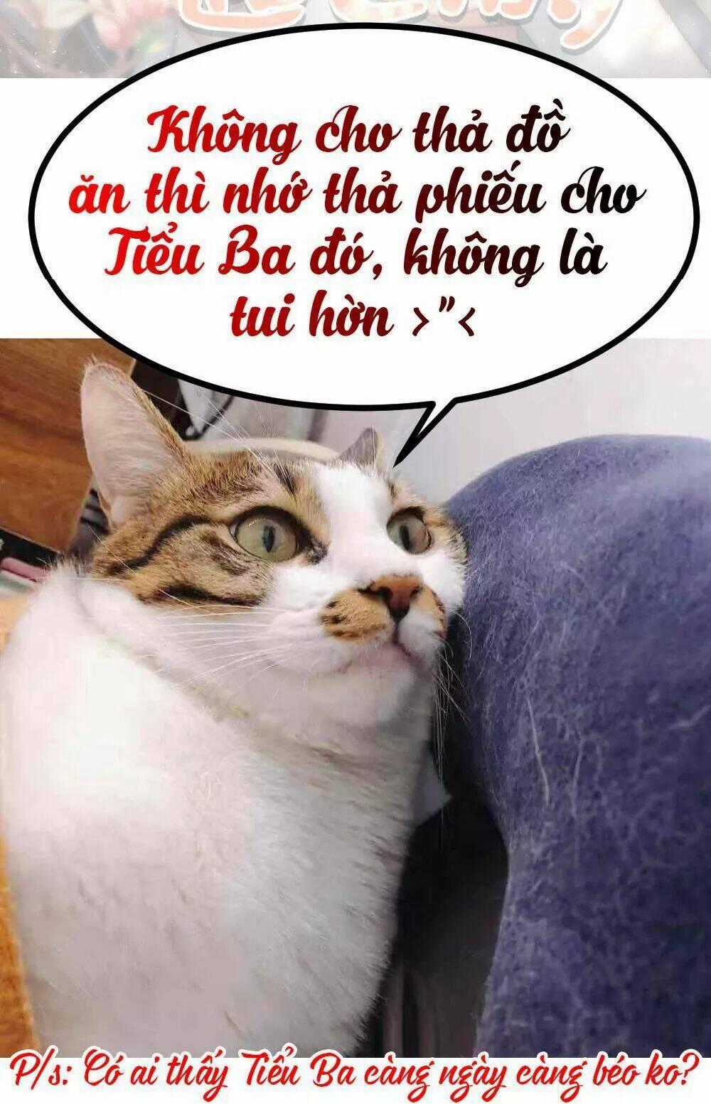 Thái Tử Phi Nhà Ta Thật Hung Hăng Chapter 27 trang 141