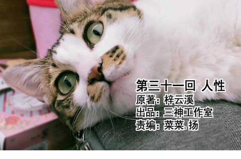 Thái Tử Phi Nhà Ta Thật Hung Hăng Chapter 31 trang 3