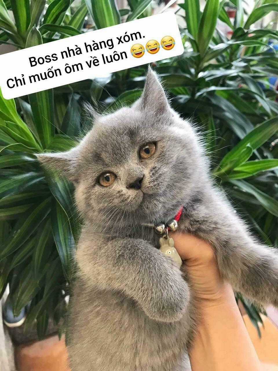 Thái Tử Phi Nhà Ta Thật Hung Hăng Chapter 32 trang 34