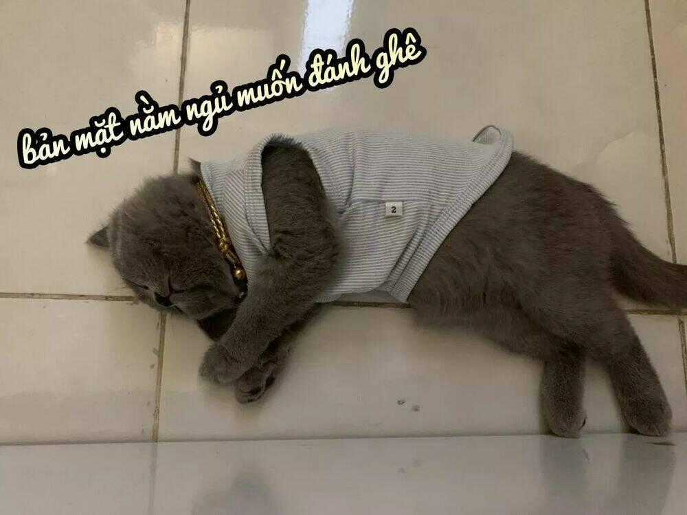 Thái Tử Phi Nhà Ta Thật Hung Hăng Chapter 35 trang 35