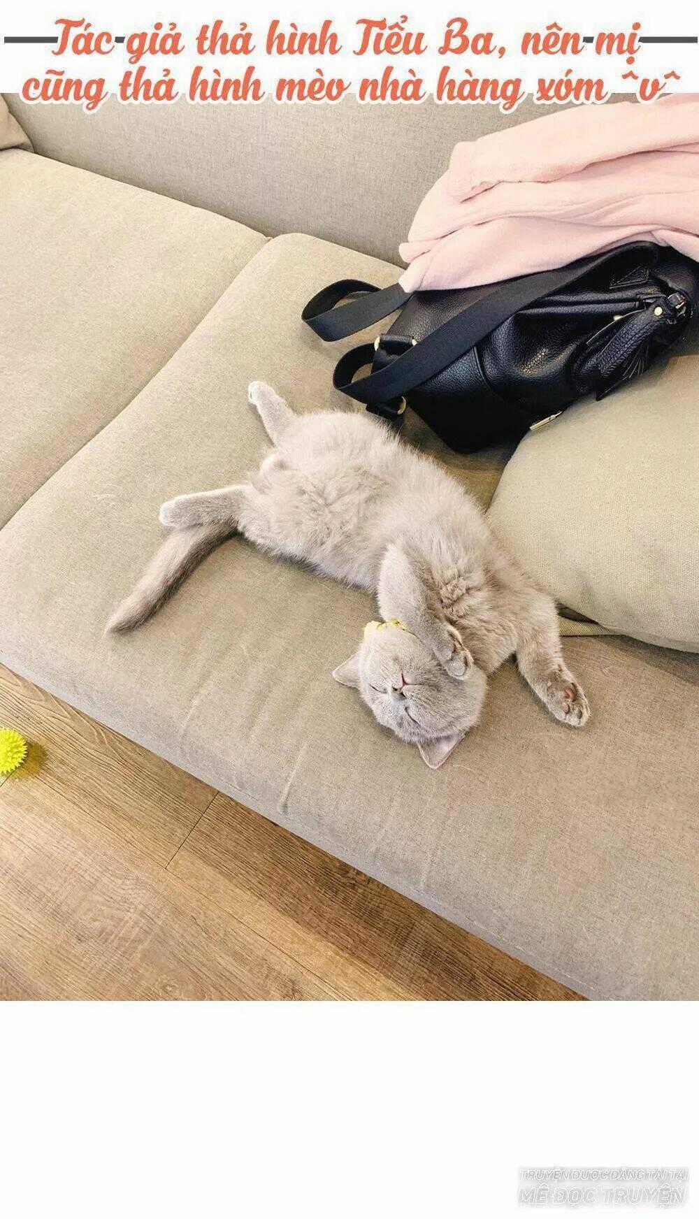 Thái Tử Phi Nhà Ta Thật Hung Hăng Chapter 41 trang 43