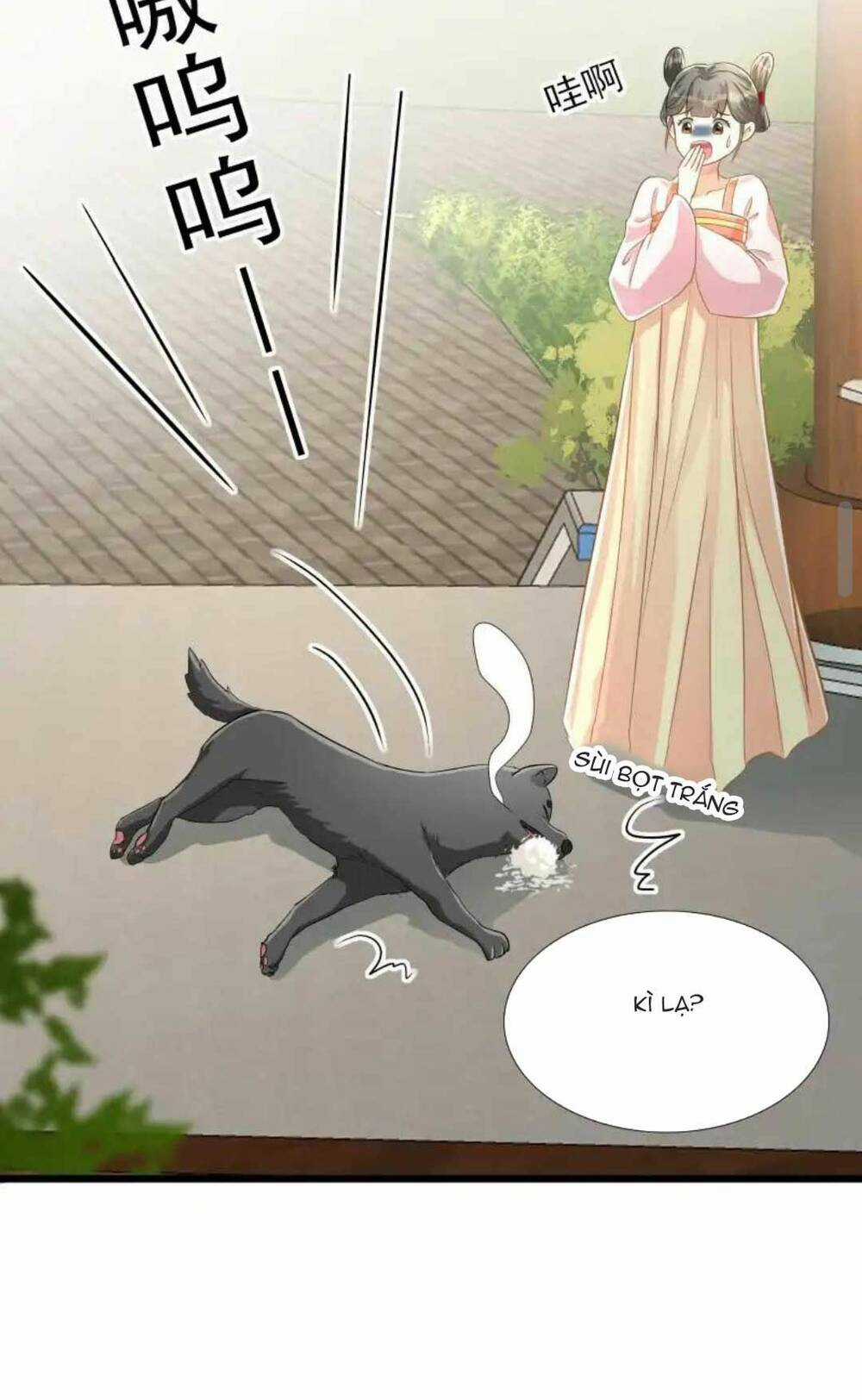 Thái Tử Phi Thế Thân Chapter 3 trang 24