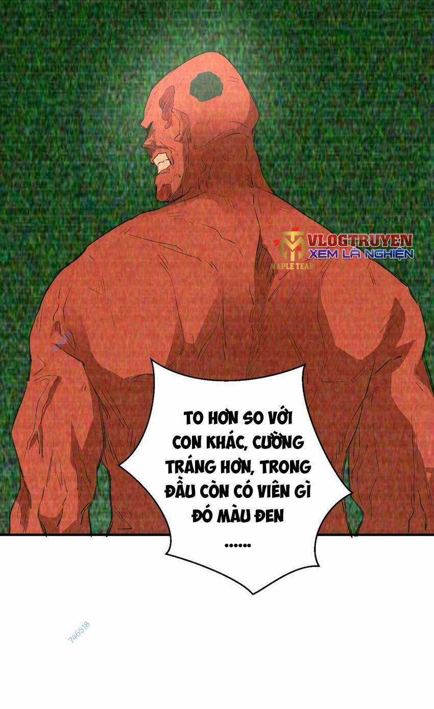 Thảm Họa Ngày Tận Thế, Tôi Tái Sinh Biến Cả Gia Đình Trở Thành Một Ông Trùm! Chapter 29 trang 16