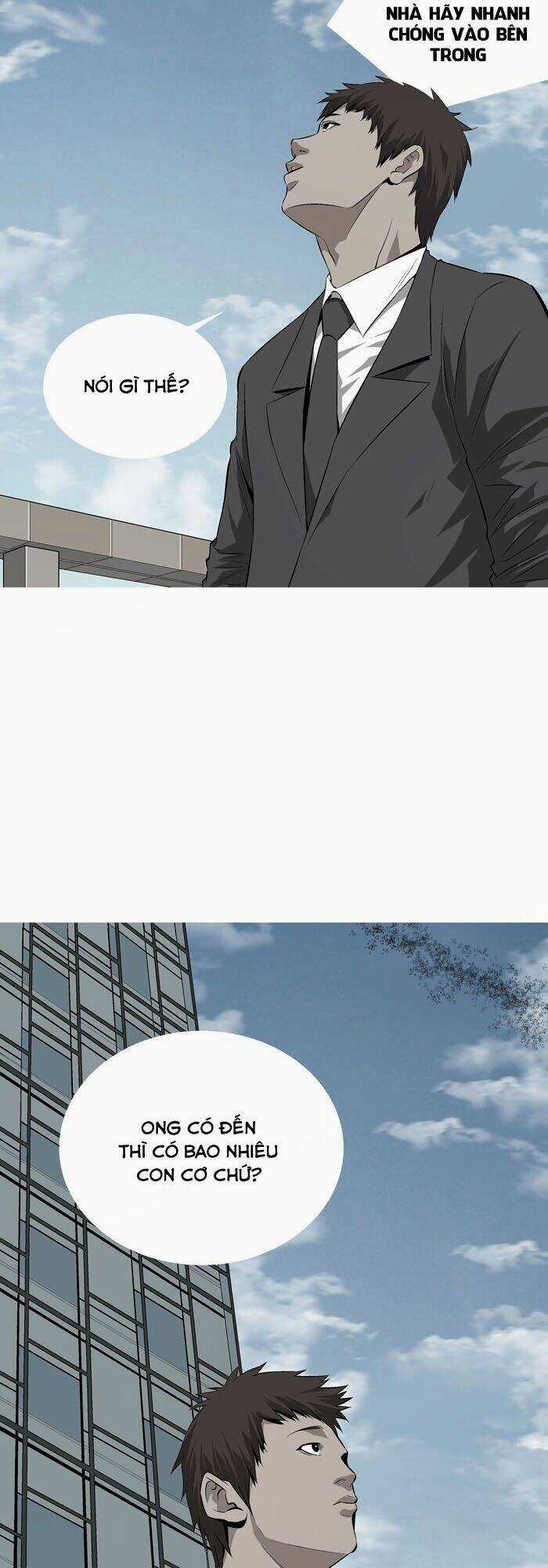 THẢM HỌA ONG ĐỘC Chapter 1 trang 40