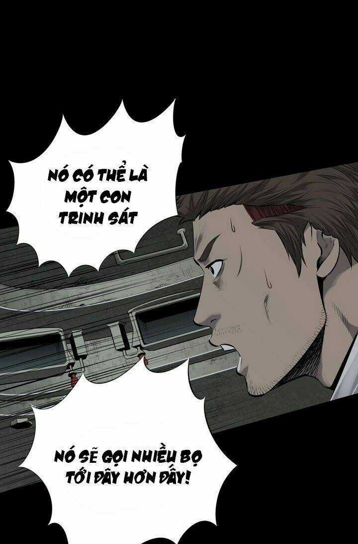 THẢM HỌA ONG ĐỘC Chapter 103 trang 12