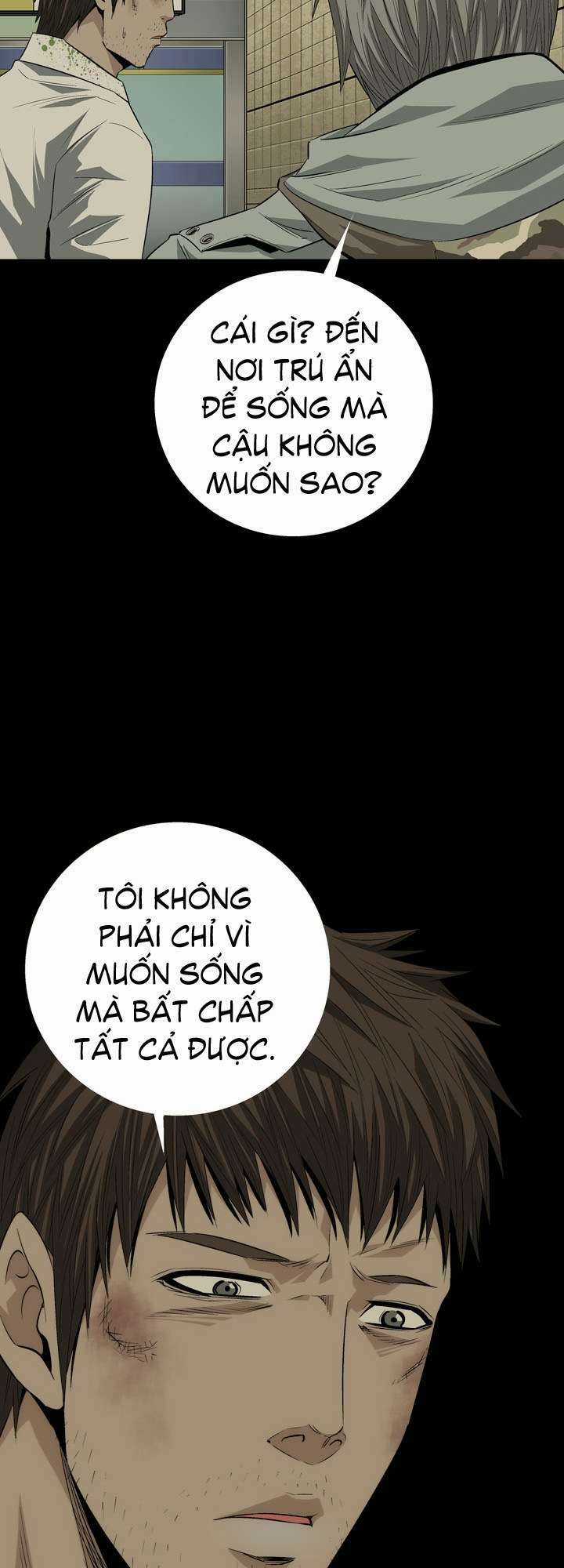 THẢM HỌA ONG ĐỘC Chapter 11 trang 46