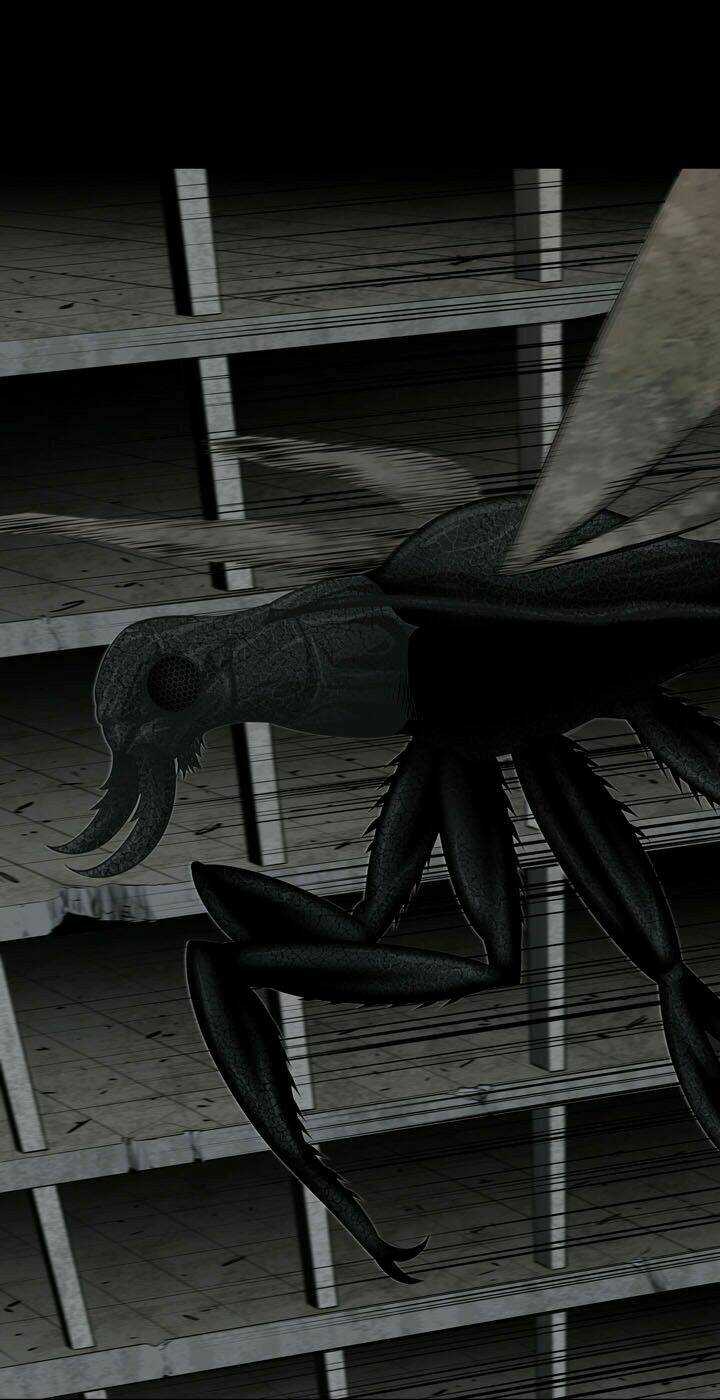 THẢM HỌA ONG ĐỘC Chapter 113 trang 68