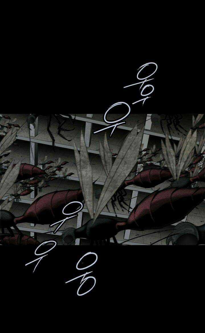 THẢM HỌA ONG ĐỘC Chapter 115 trang 26