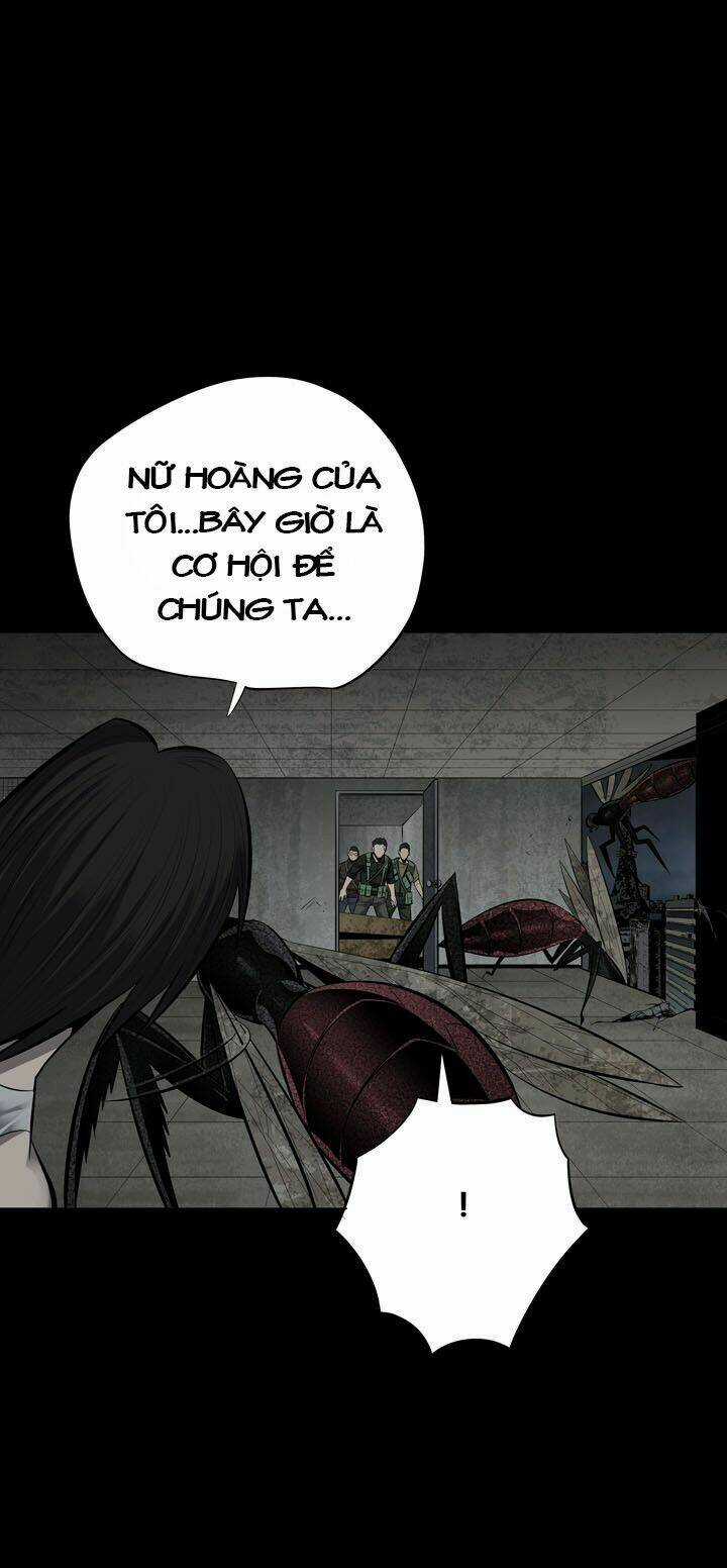 THẢM HỌA ONG ĐỘC Chapter 115 trang 30