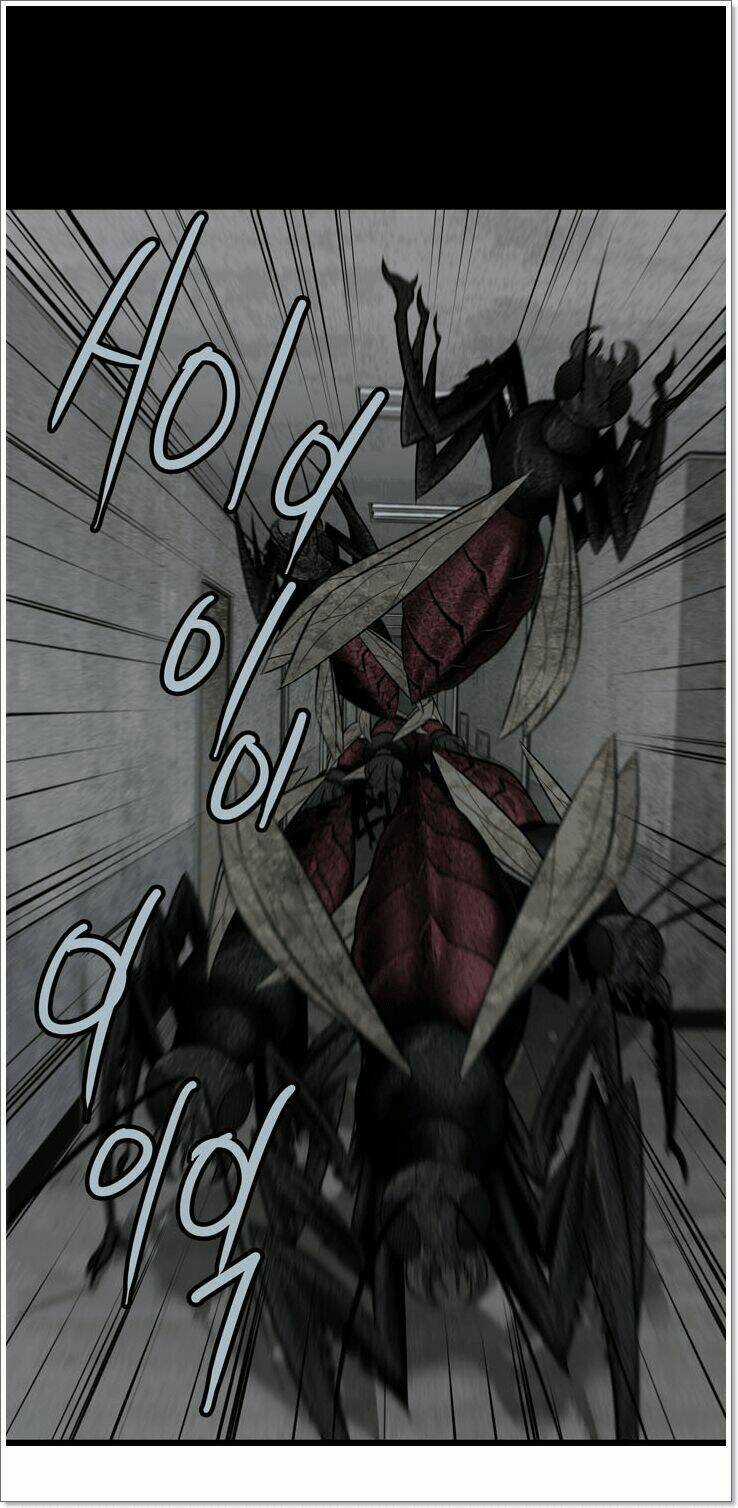 THẢM HỌA ONG ĐỘC Chapter 117 trang 12