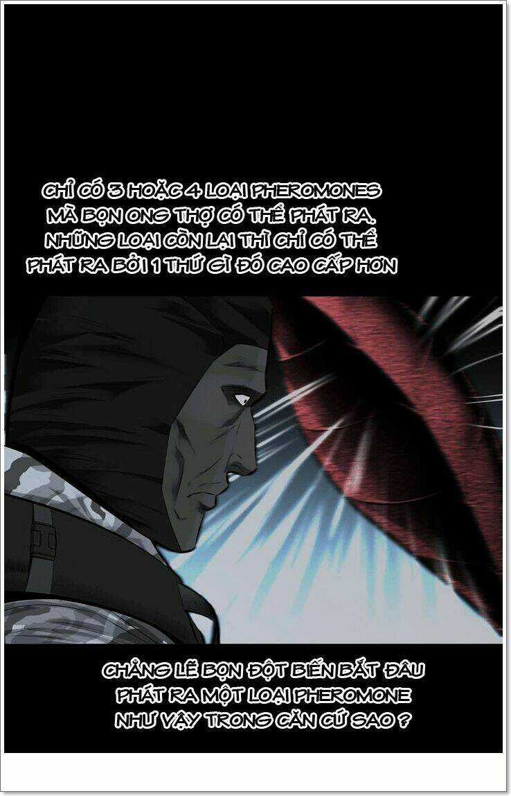 THẢM HỌA ONG ĐỘC Chapter 117 trang 29