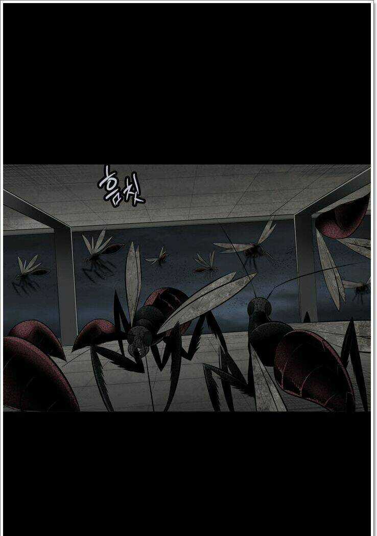 THẢM HỌA ONG ĐỘC Chapter 117 trang 4