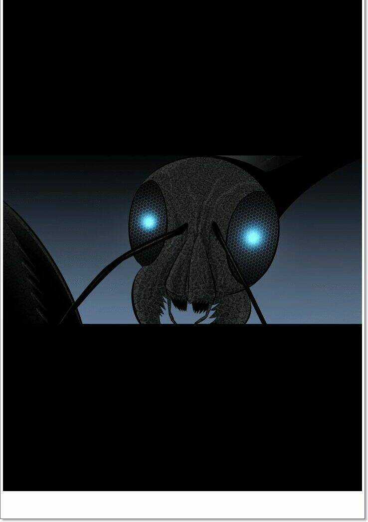 THẢM HỌA ONG ĐỘC Chapter 117 trang 5