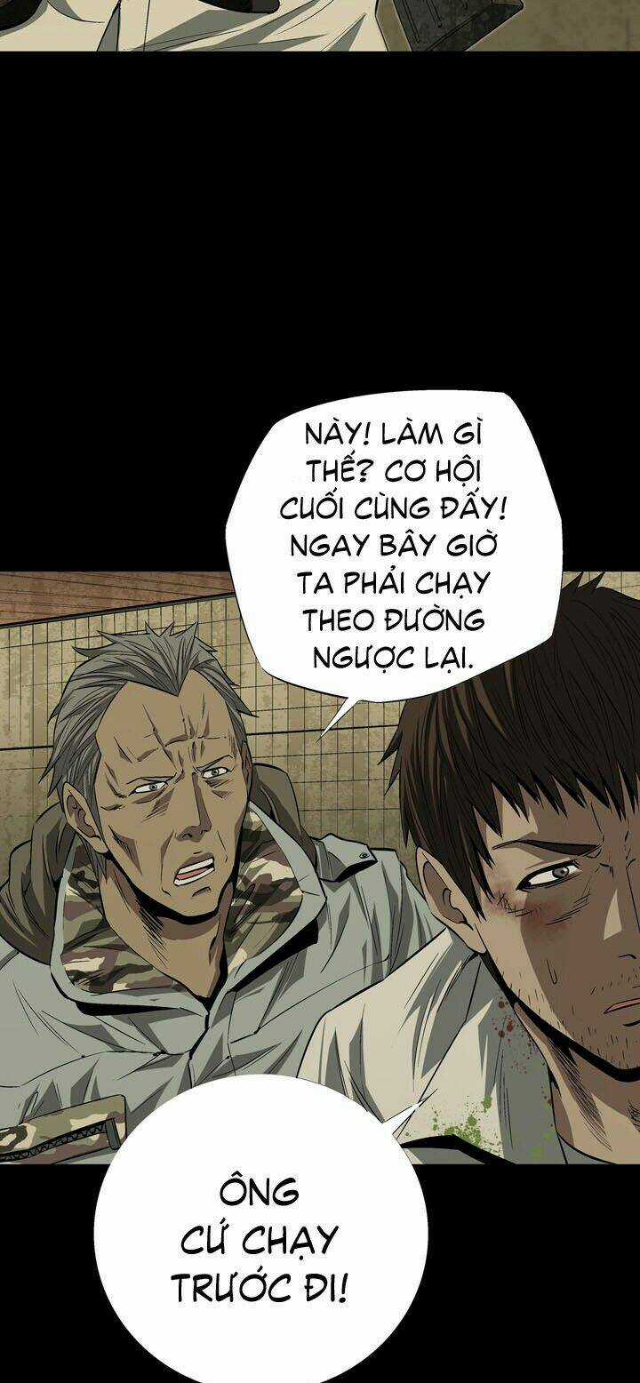 THẢM HỌA ONG ĐỘC Chapter 12 trang 16