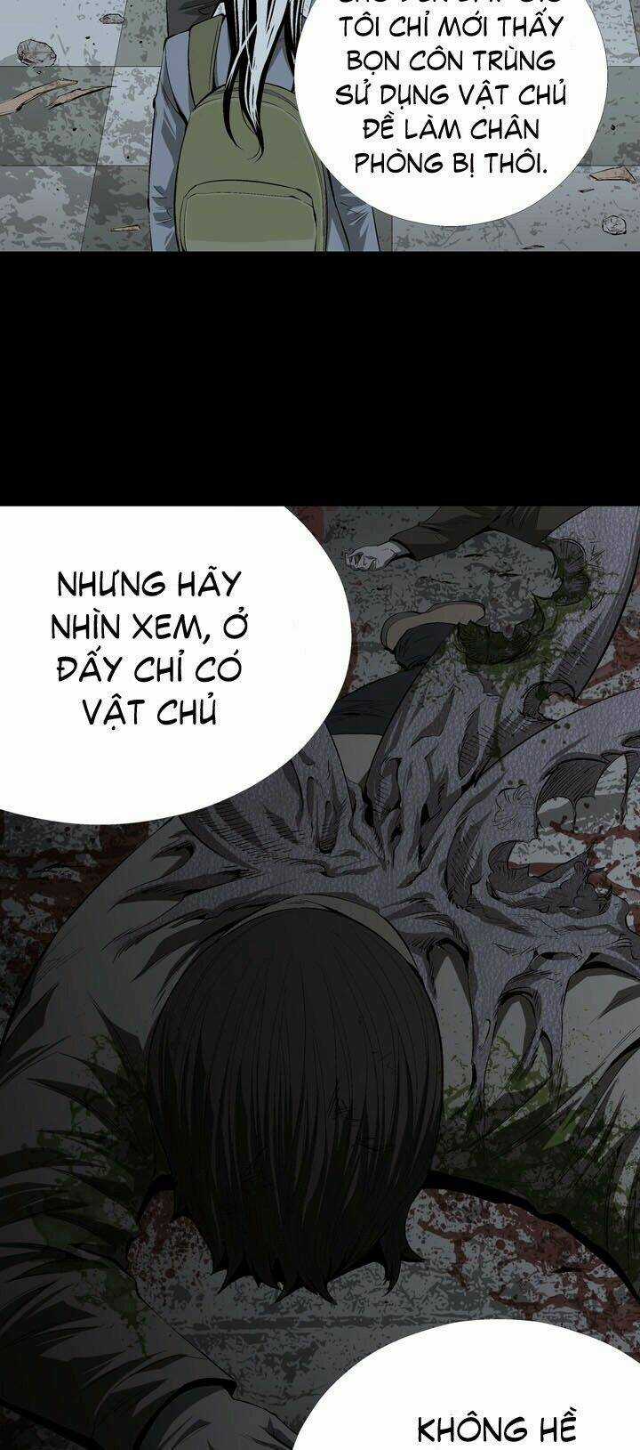 THẢM HỌA ONG ĐỘC Chapter 12 trang 52