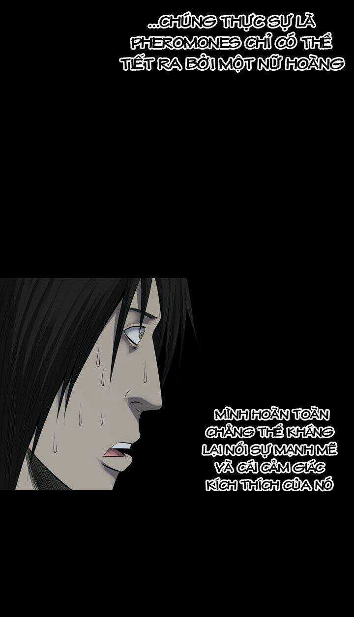 THẢM HỌA ONG ĐỘC Chapter 122 trang 48