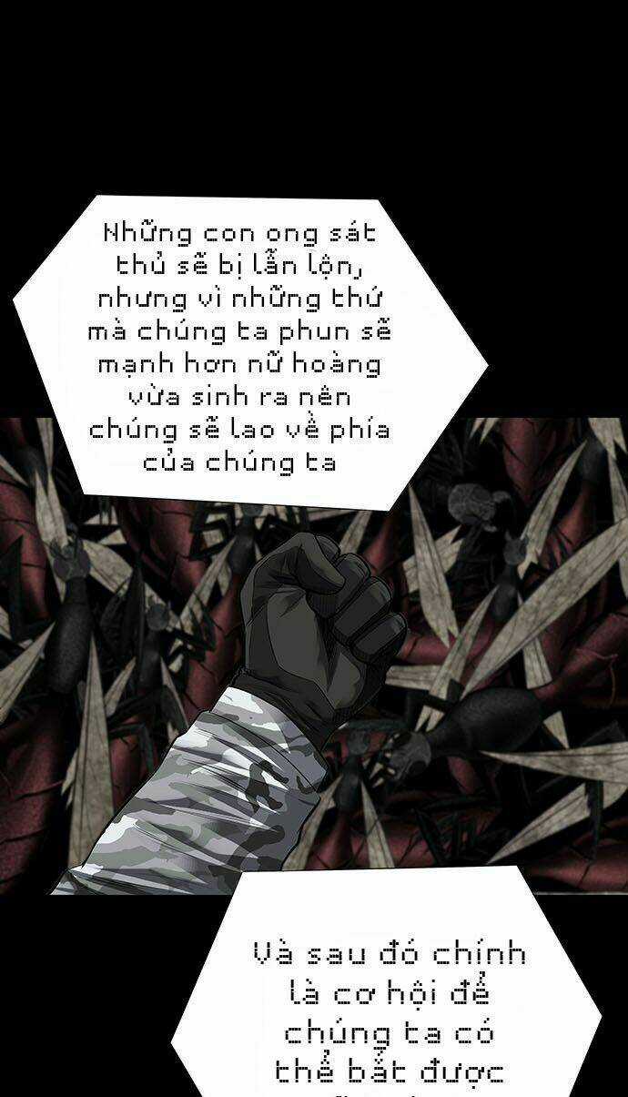 THẢM HỌA ONG ĐỘC Chapter 124 trang 49