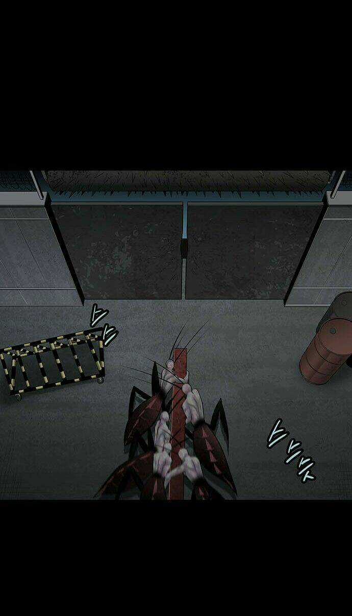 THẢM HỌA ONG ĐỘC Chapter 126 trang 70