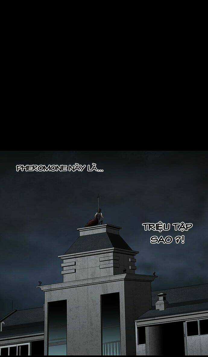 THẢM HỌA ONG ĐỘC Chapter 130 trang 73