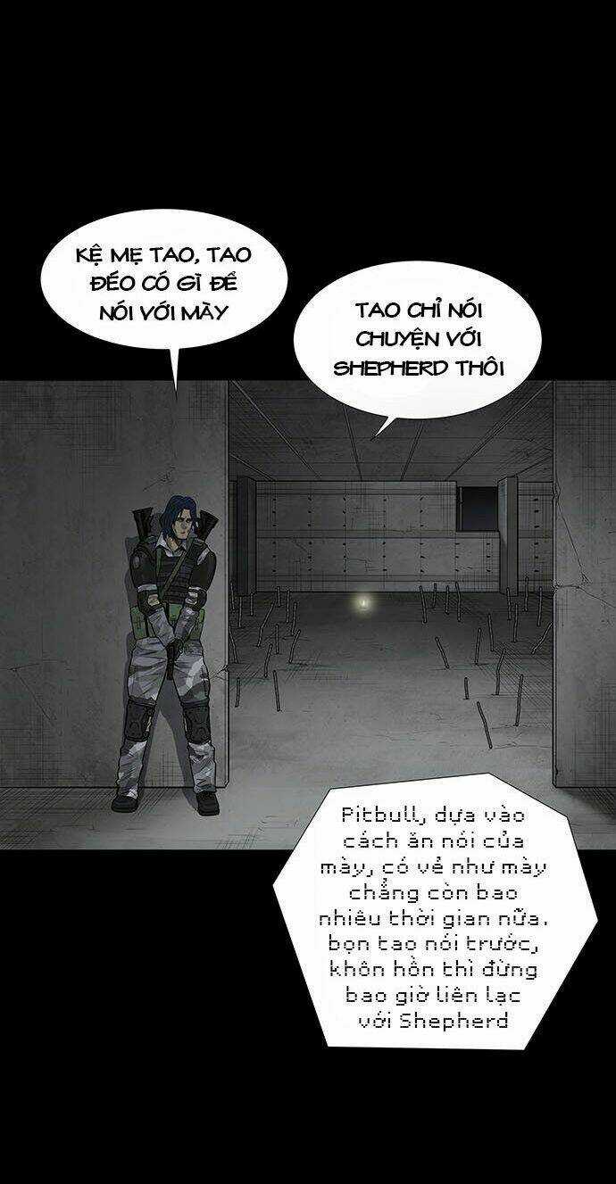 THẢM HỌA ONG ĐỘC Chapter 131 trang 46