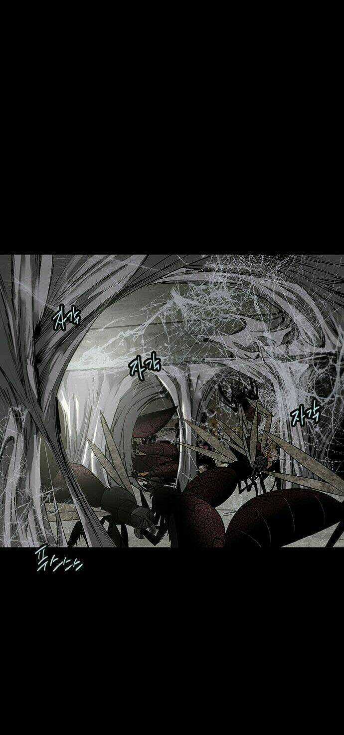 THẢM HỌA ONG ĐỘC Chapter 132 trang 19