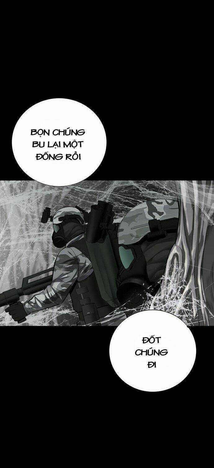 THẢM HỌA ONG ĐỘC Chapter 132 trang 25