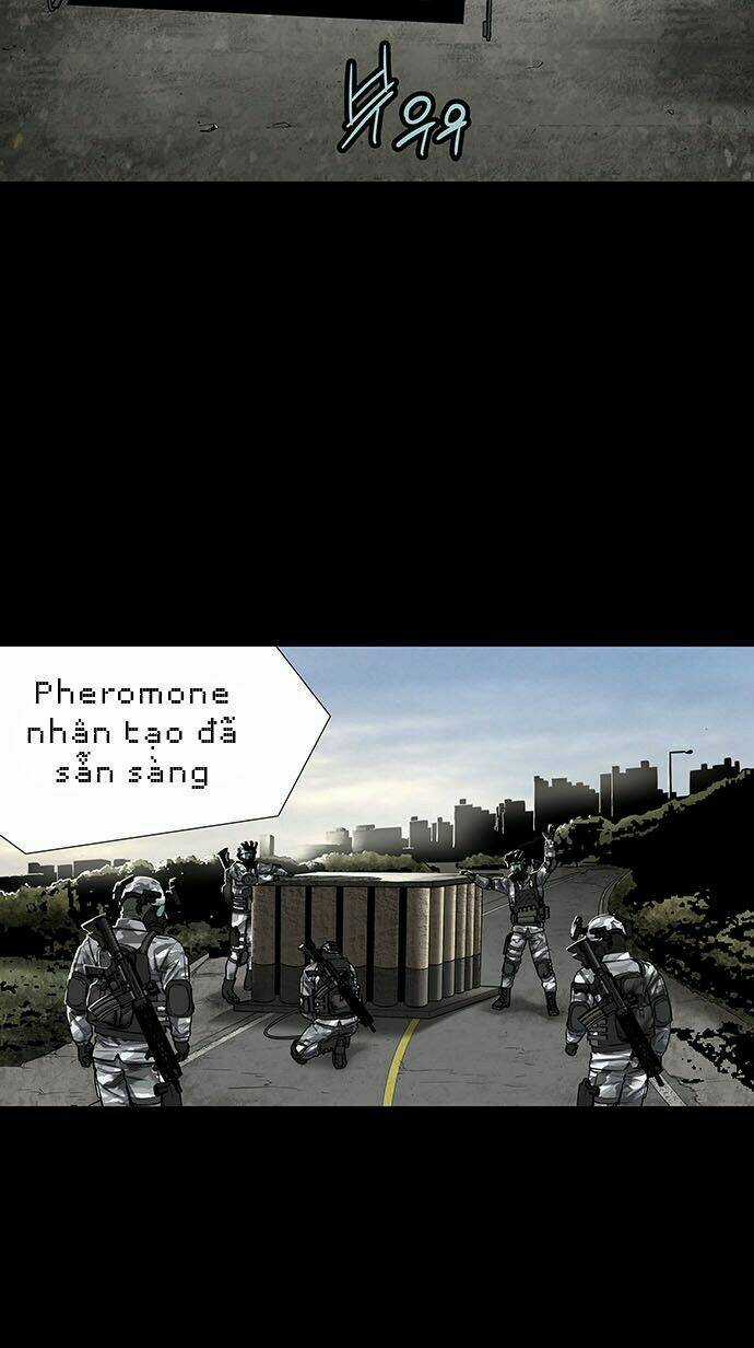 THẢM HỌA ONG ĐỘC Chapter 132 trang 3