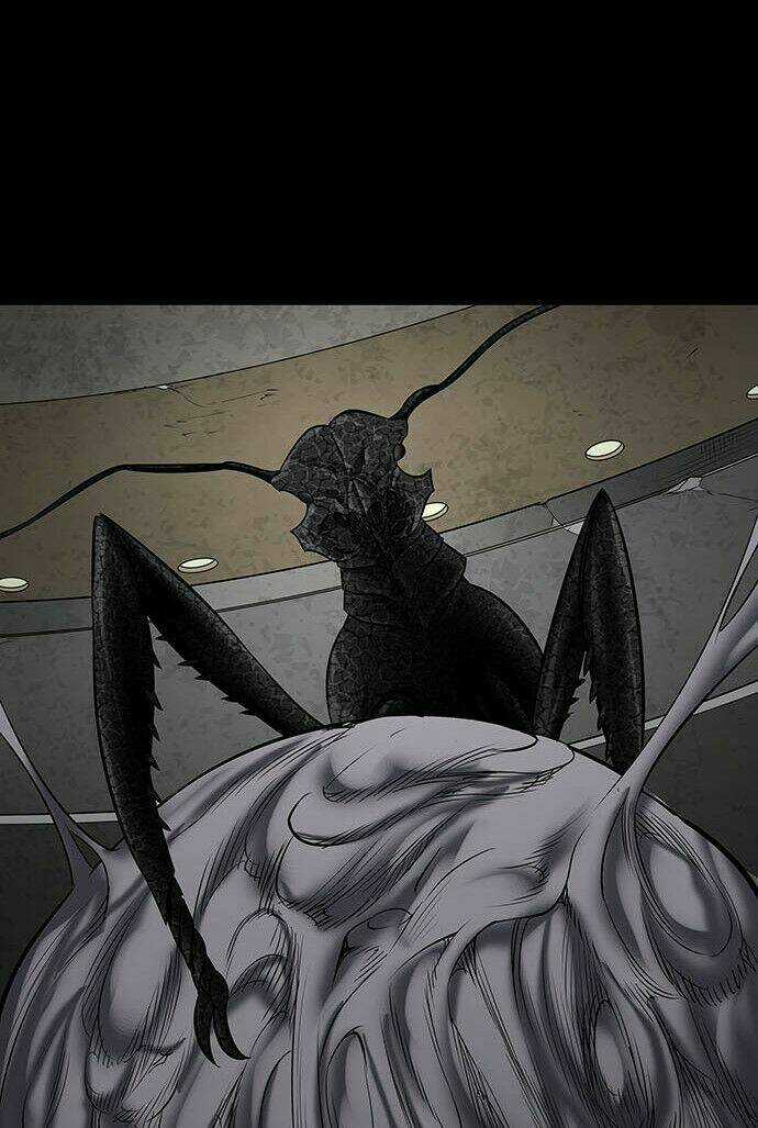 THẢM HỌA ONG ĐỘC Chapter 133 trang 23