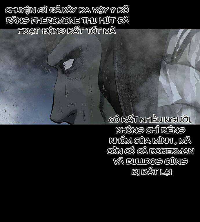 THẢM HỌA ONG ĐỘC Chapter 133 trang 62