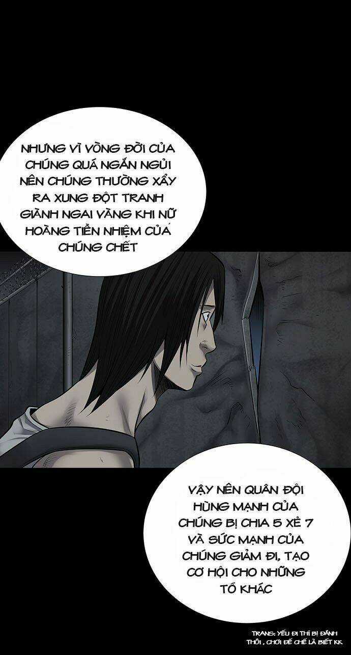 THẢM HỌA ONG ĐỘC Chapter 134 trang 38