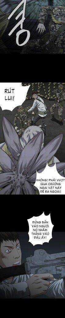 THẢM HỌA ONG ĐỘC Chapter 14 trang 19