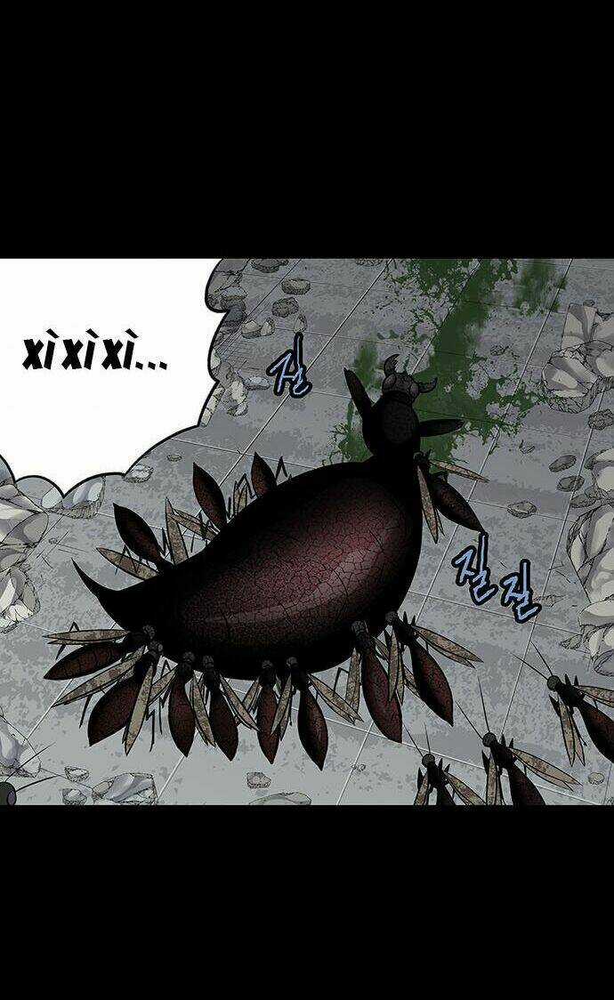 THẢM HỌA ONG ĐỘC Chapter 141 trang 13