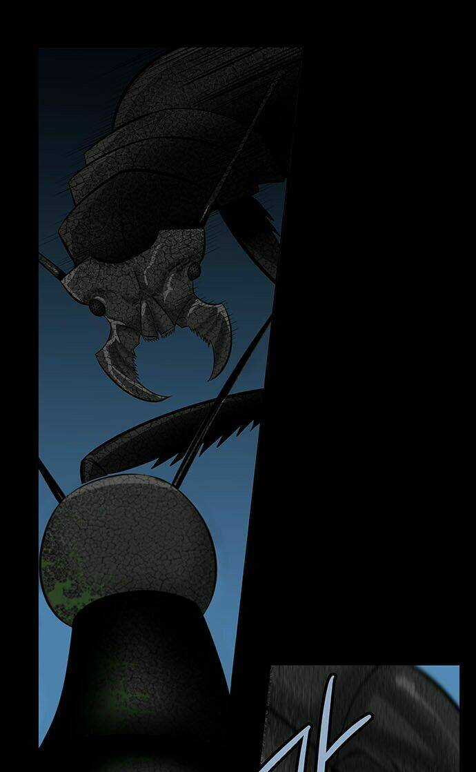 THẢM HỌA ONG ĐỘC Chapter 141 trang 16