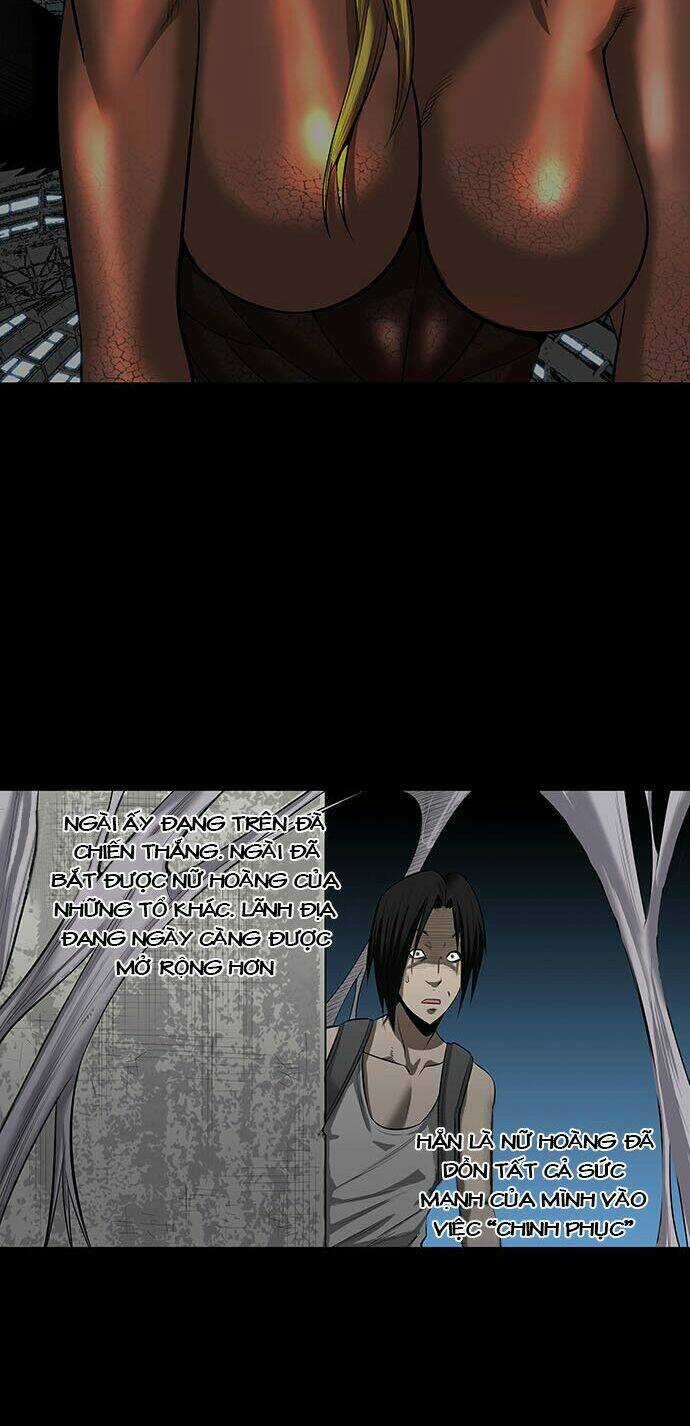 THẢM HỌA ONG ĐỘC Chapter 141 trang 24