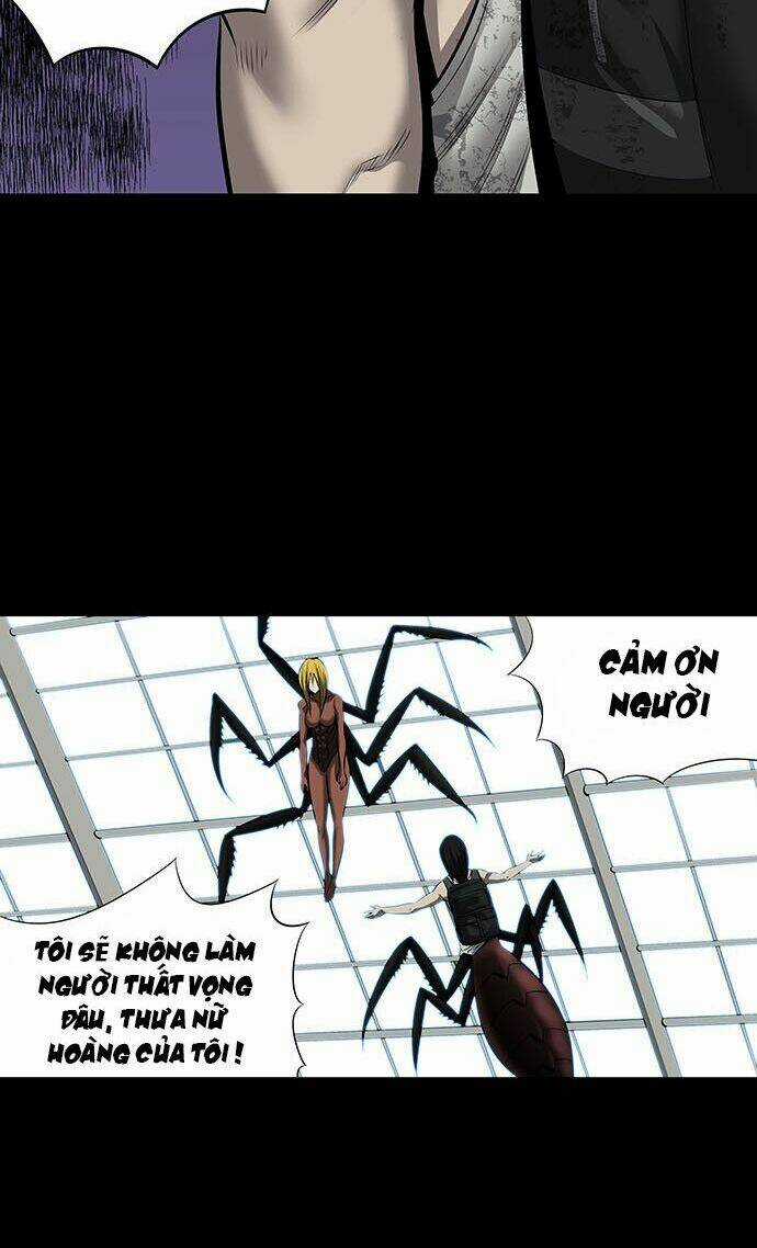 THẢM HỌA ONG ĐỘC Chapter 141 trang 41