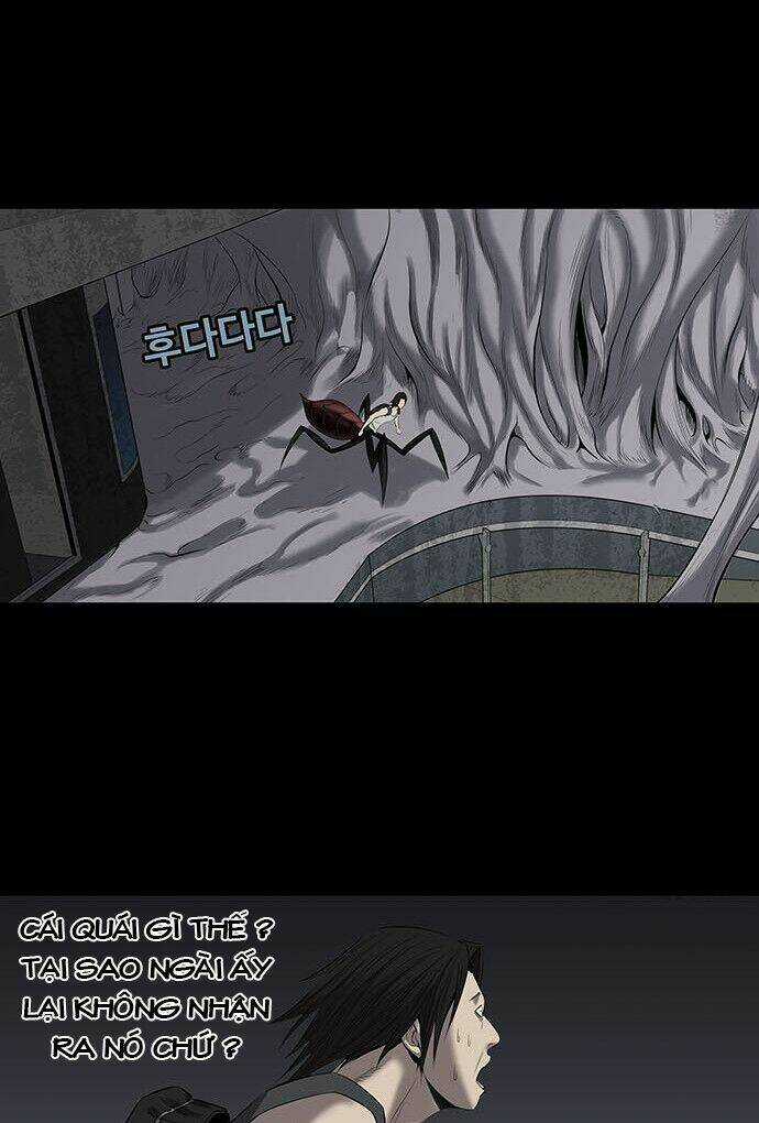 THẢM HỌA ONG ĐỘC Chapter 142 trang 52