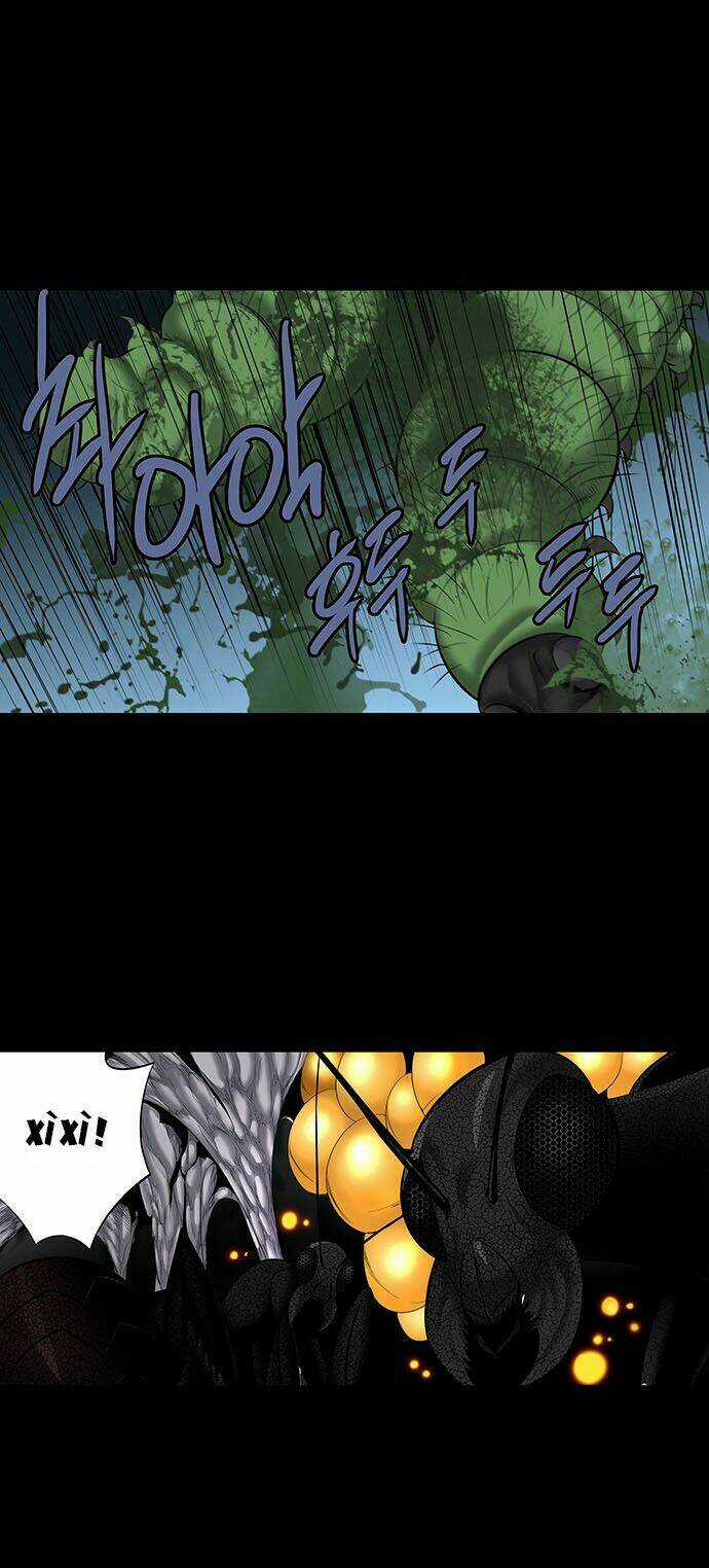 THẢM HỌA ONG ĐỘC Chapter 145 trang 26