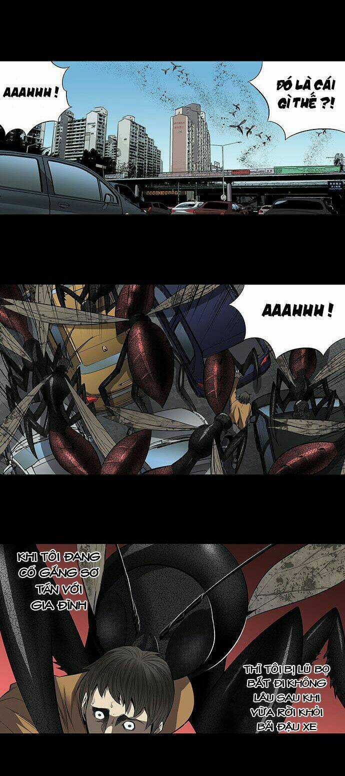 THẢM HỌA ONG ĐỘC Chapter 152 trang 24