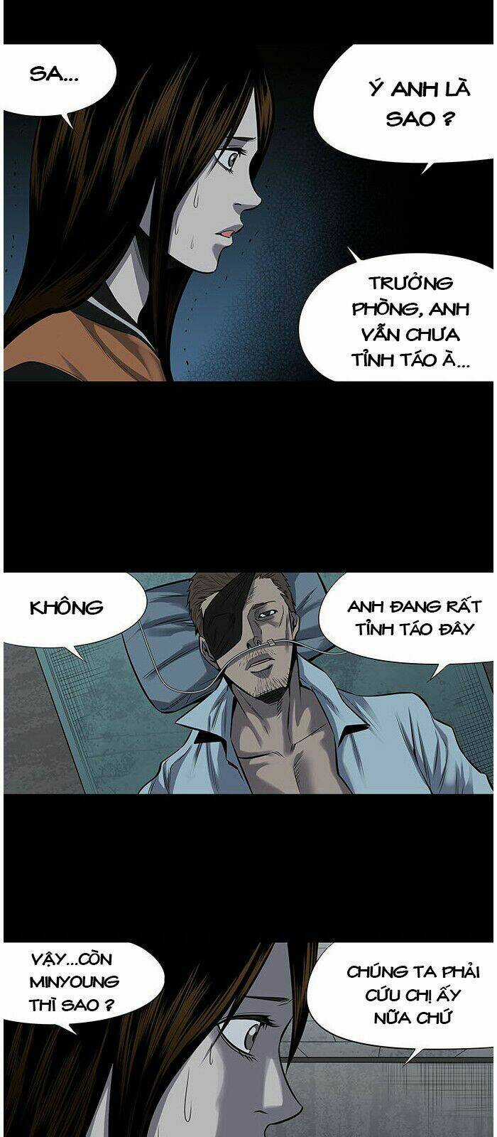 THẢM HỌA ONG ĐỘC Chapter 154 trang 37