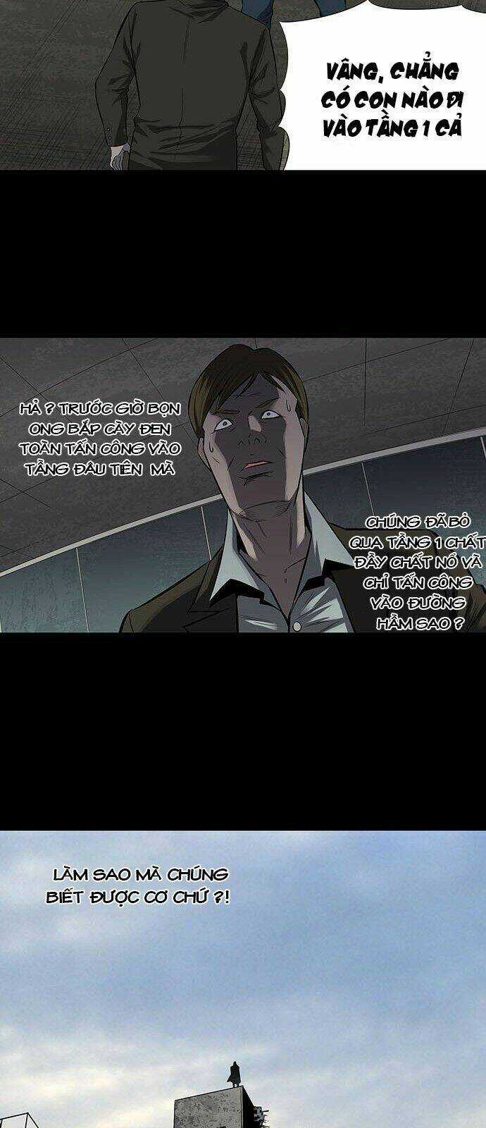 THẢM HỌA ONG ĐỘC Chapter 155 trang 19