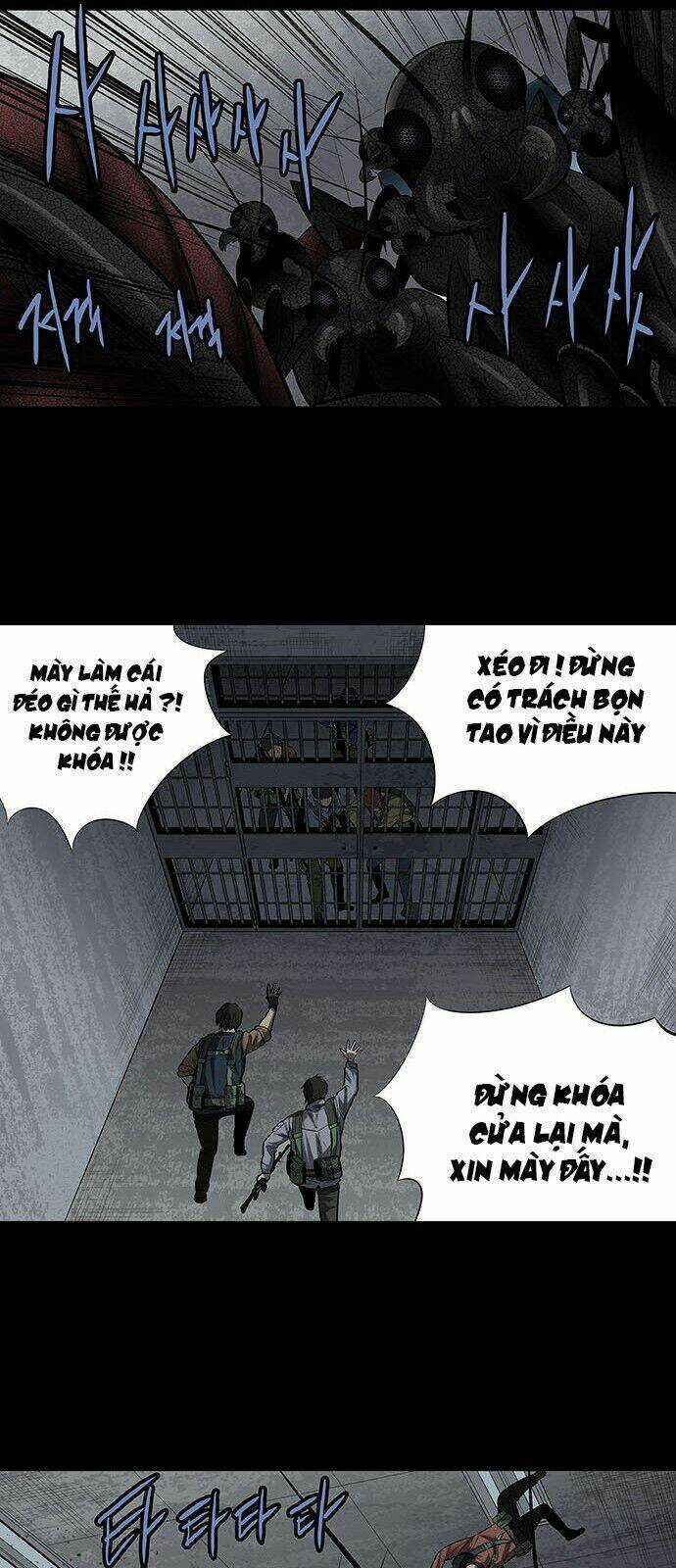 THẢM HỌA ONG ĐỘC Chapter 156 trang 17