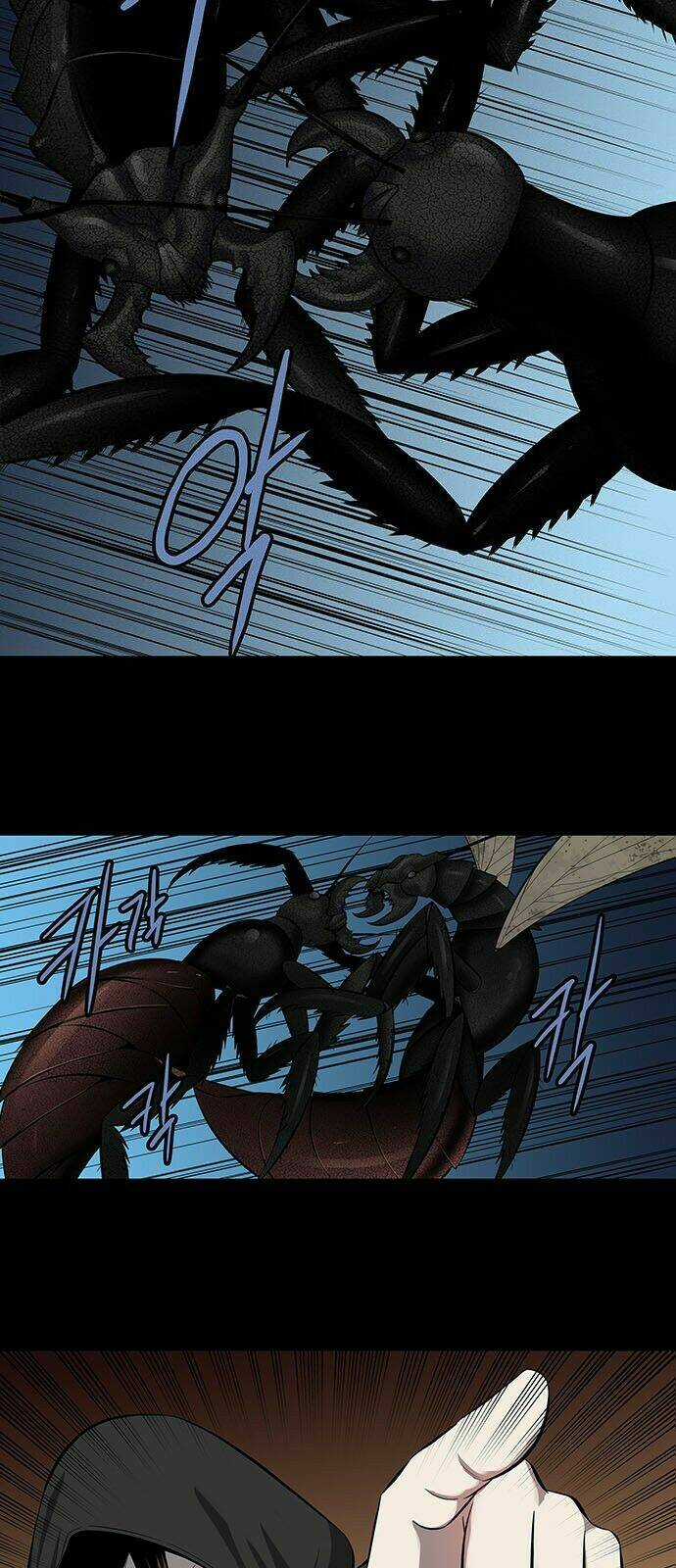 THẢM HỌA ONG ĐỘC Chapter 157 trang 40