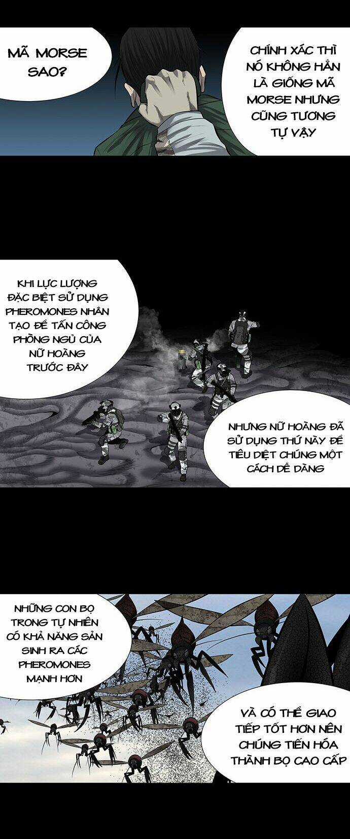 THẢM HỌA ONG ĐỘC Chapter 161 trang 37