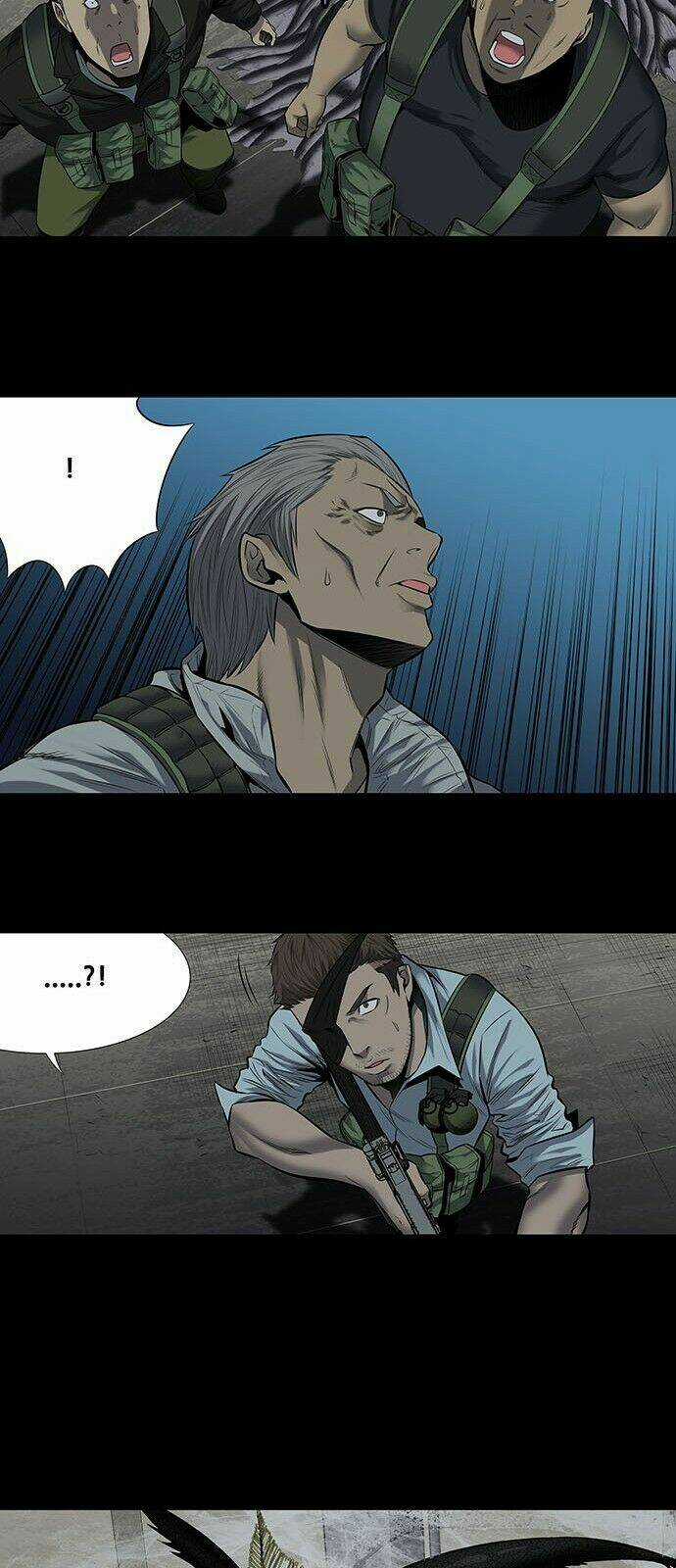 THẢM HỌA ONG ĐỘC Chapter 167 trang 19