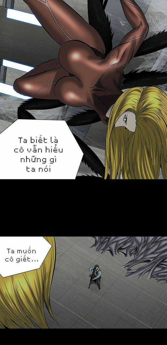 THẢM HỌA ONG ĐỘC Chapter 167 trang 24