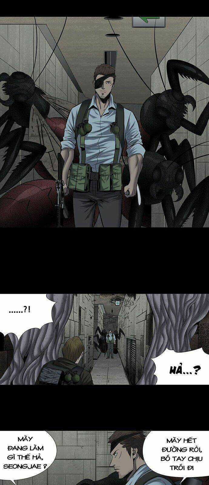 THẢM HỌA ONG ĐỘC Chapter 167 trang 31