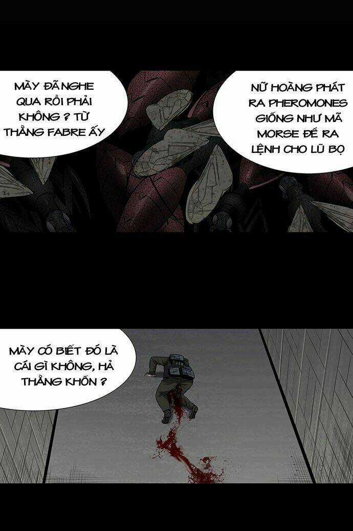 THẢM HỌA ONG ĐỘC Chapter 167 trang 40