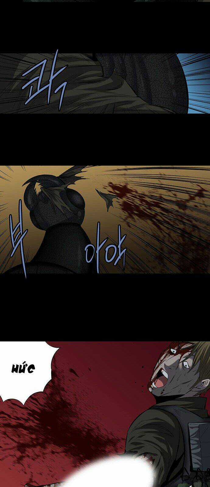 THẢM HỌA ONG ĐỘC Chapter 168 trang 13