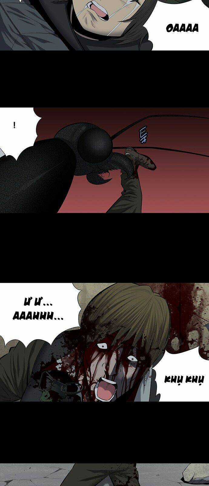 THẢM HỌA ONG ĐỘC Chapter 168 trang 16